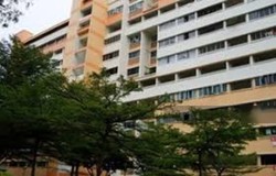 Blk 158 Tampines Street 12 (Tampines), HDB 4 Rooms #184210402